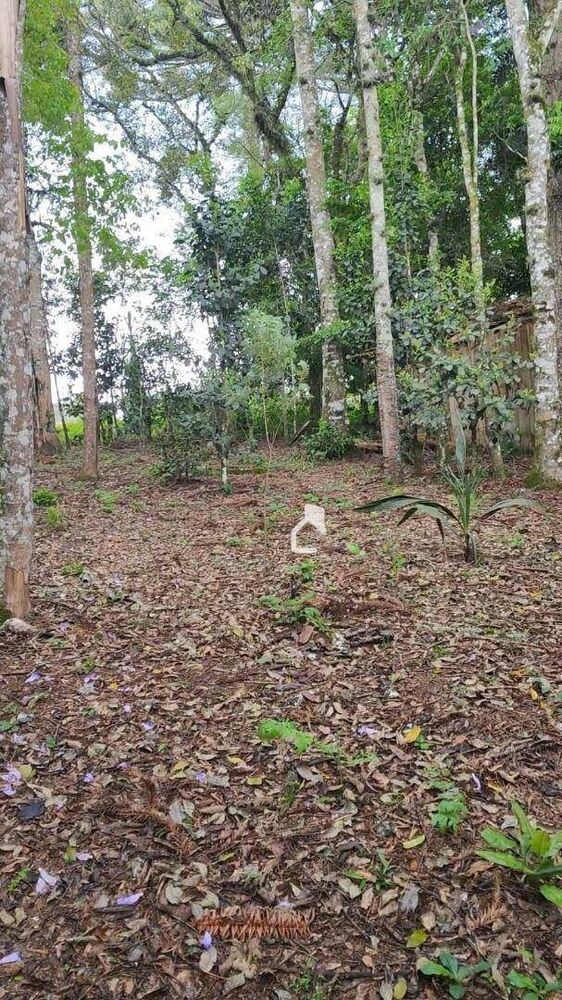 Casa, 5 quartos, 120 m² - Foto 3