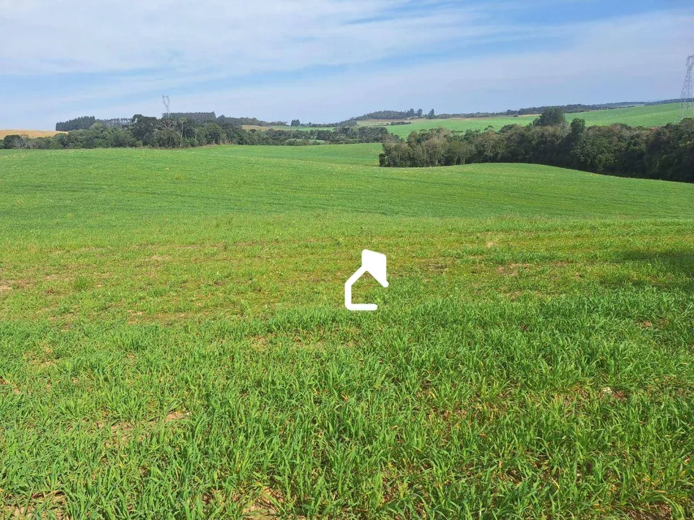 Terreno, 13 hectares - Foto 3