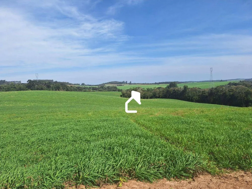 Terreno, 13 hectares - Foto 1