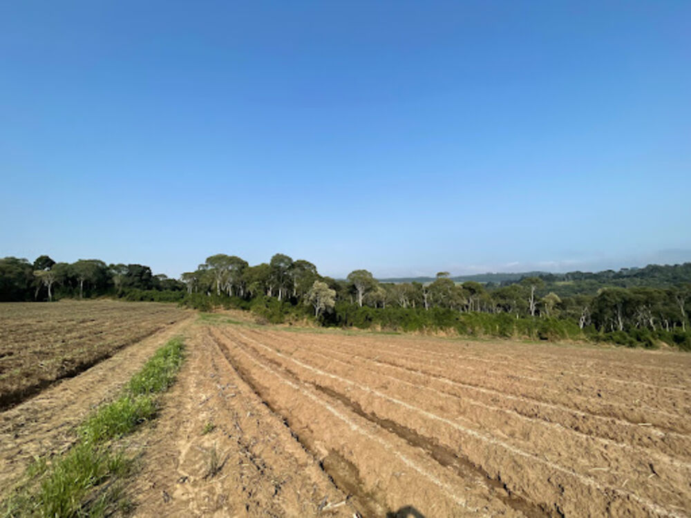 Terreno, 41 hectares - Foto 5