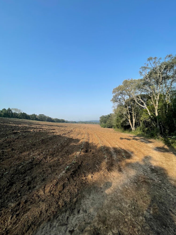 Terreno, 41 hectares - Foto 6