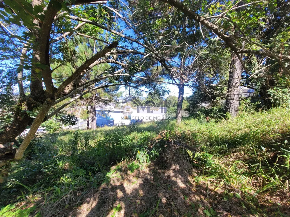 Terreno, 360 m² - Foto 3
