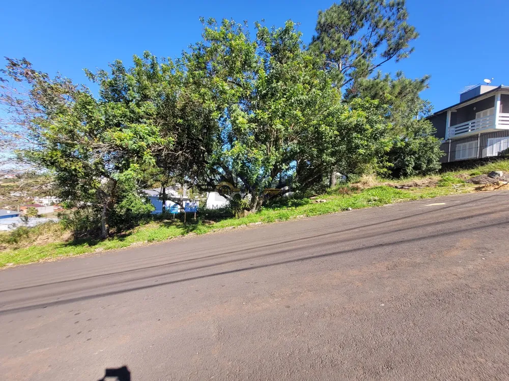 Terreno, 360 m² - Foto 4