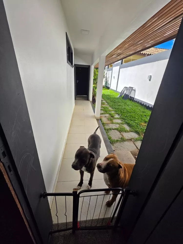 Casa, 4 quartos, 350 m² - Foto 6
