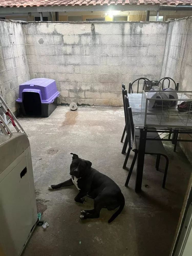 Casa de Condomínio, 2 quartos - Foto 7