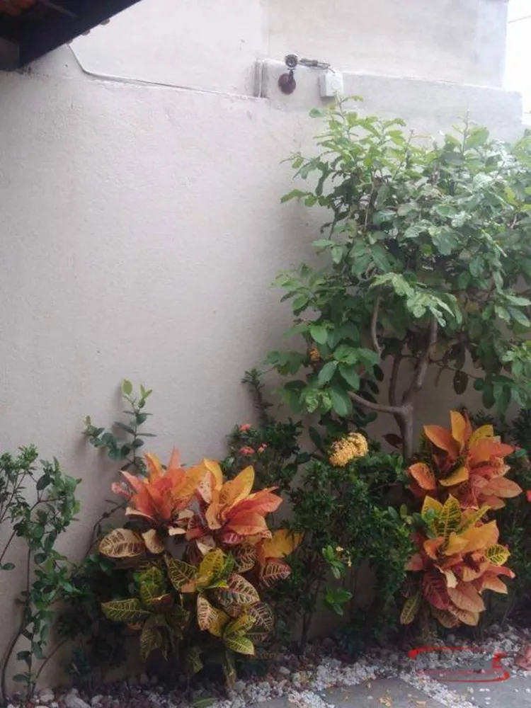Casa, 3 quartos, 260 m² - Foto 10