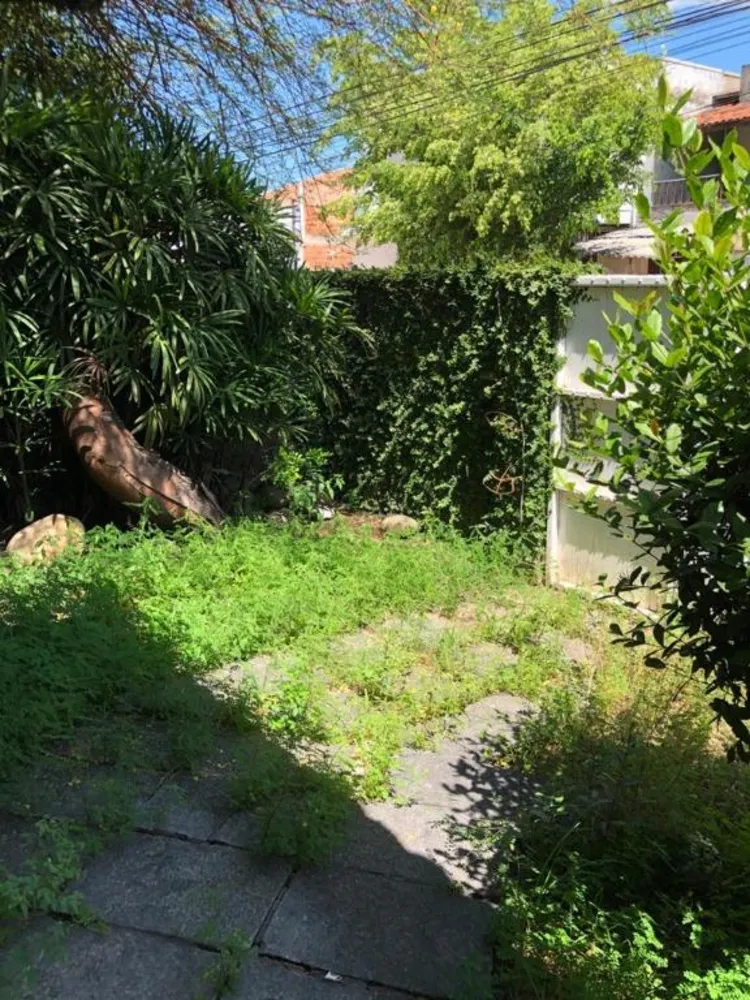 Casa, 3 quartos, 800 m² - Foto 5