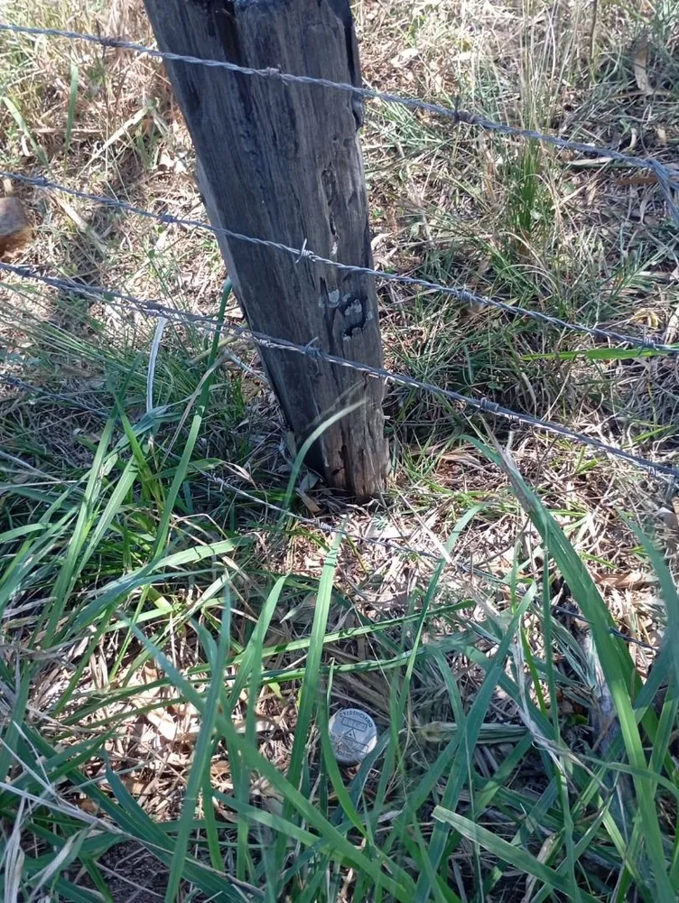 Terreno, 34 hectares - Foto 11