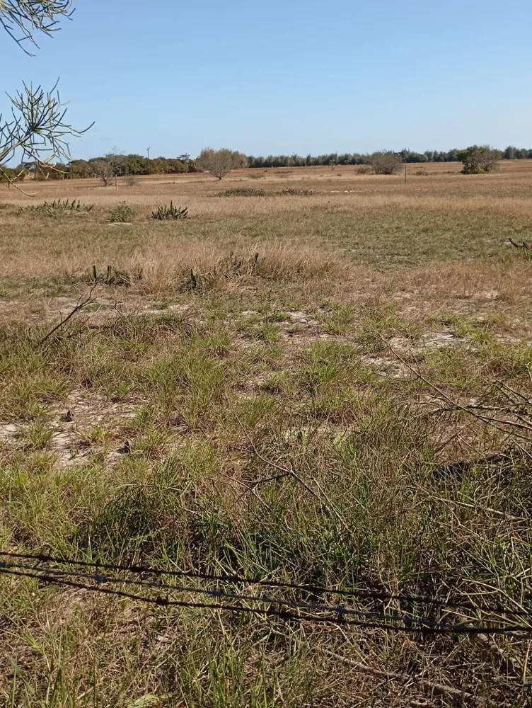 Terreno, 34 hectares - Foto 1
