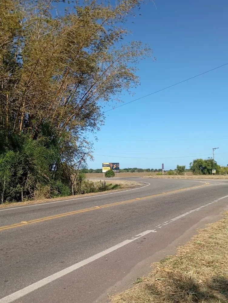 Terreno, 34 hectares - Foto 6