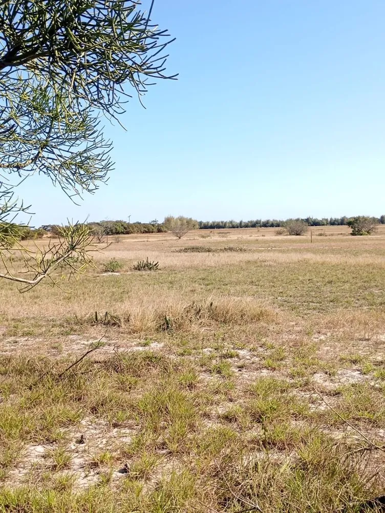 Terreno, 34 hectares - Foto 9
