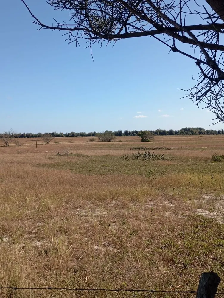 Terreno, 34 hectares - Foto 7