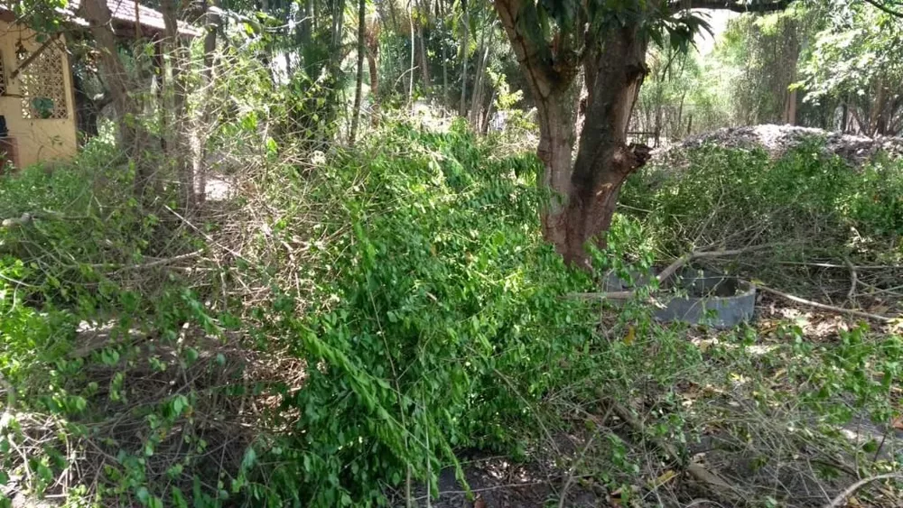 Terreno, 300 m² - Foto 8