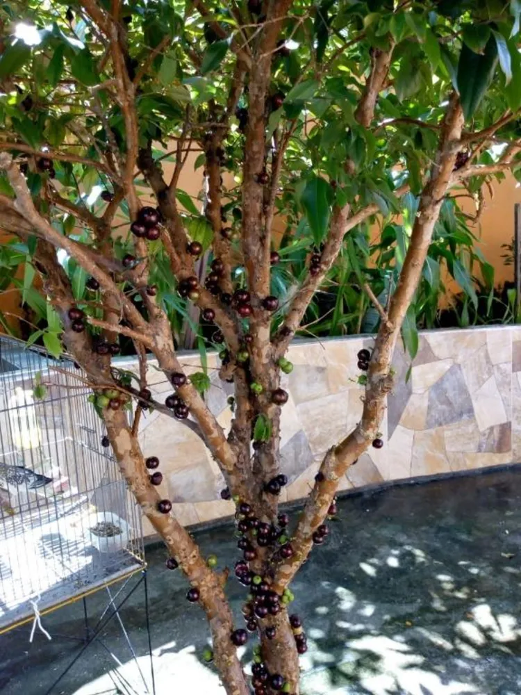 Casa, 3 quartos, 156 m² - Foto 15