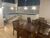 Apartamento, 3 quartos, 75 m² - Foto 2