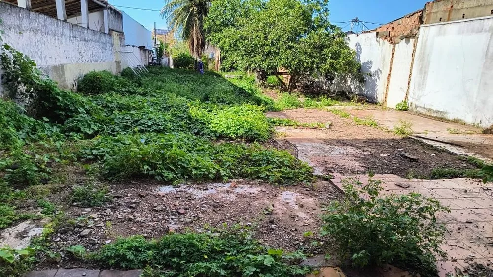 Terreno, 528 m² - Foto 3