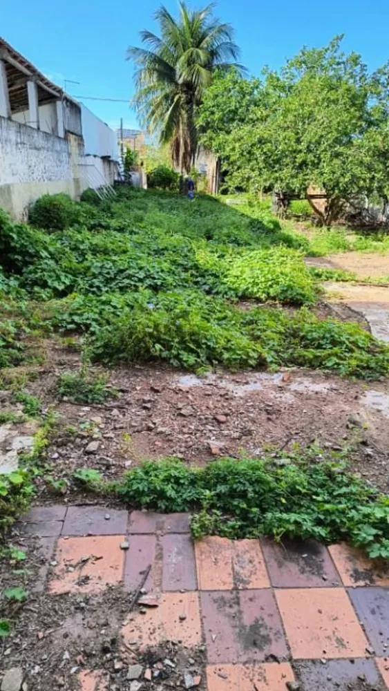 Terreno, 528 m² - Foto 4