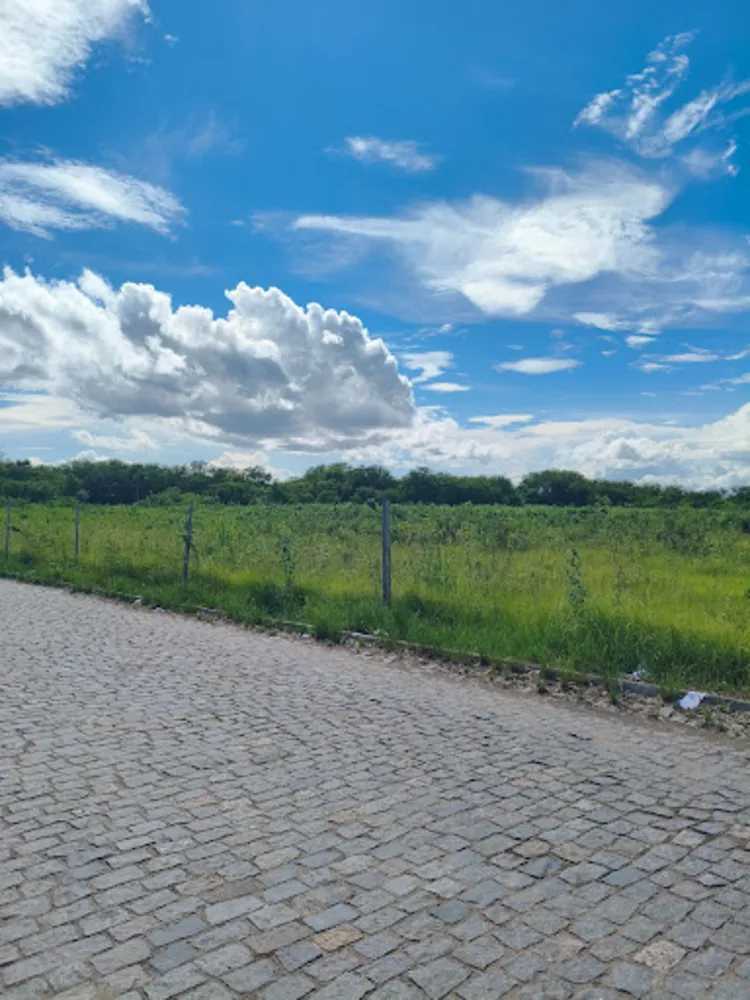 Terreno, 1 hectares - Foto 6