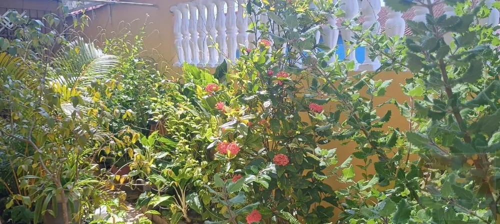 Casa, 2 quartos, 150 m² - Foto 3