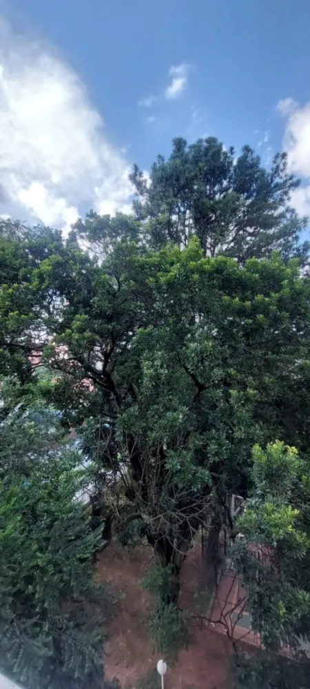 Apartamento, 3 quartos, 79 m² - Foto 2