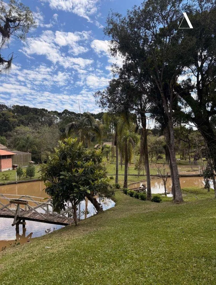Sítio, 3 quartos, 6 hectares - Foto 9
