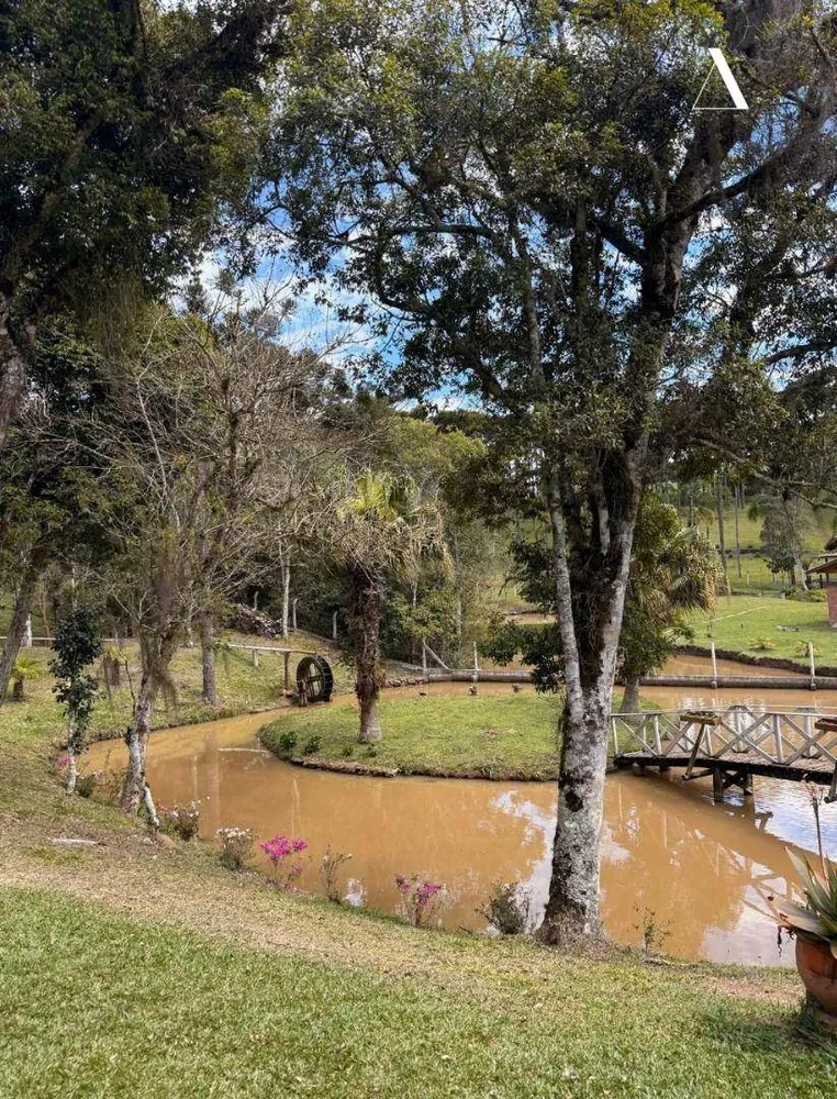 Sítio, 3 quartos, 6 hectares - Foto 11