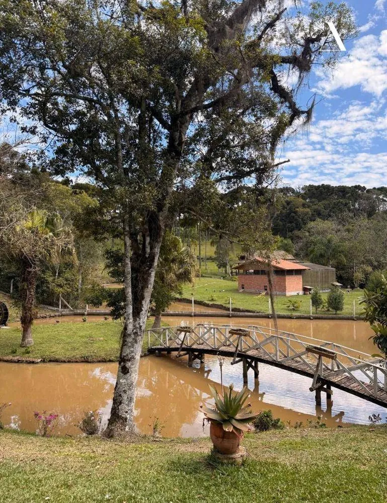 Sítio, 3 quartos, 6 hectares - Foto 10