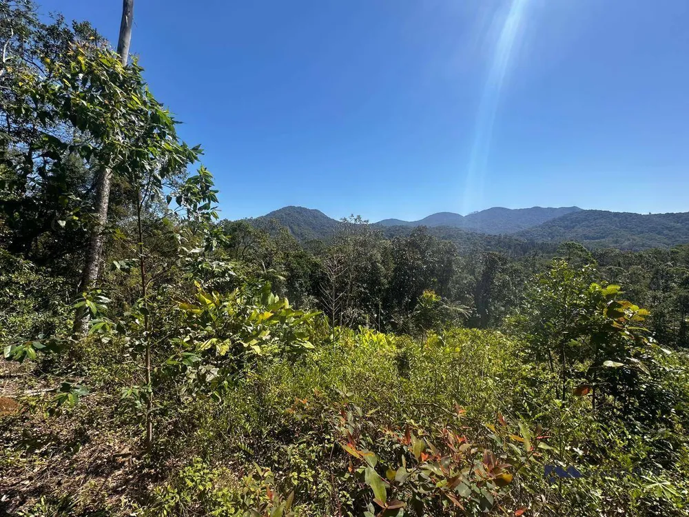Terreno, 4 hectares - Foto 8