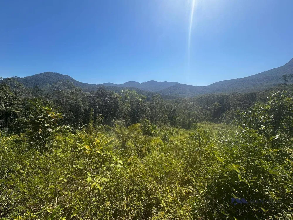 Terreno, 4 hectares - Foto 7