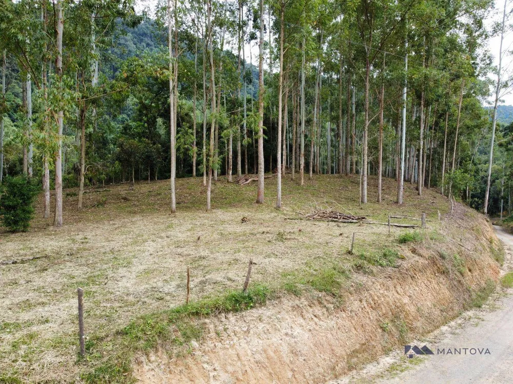 Sítio, 9 hectares - Foto 4