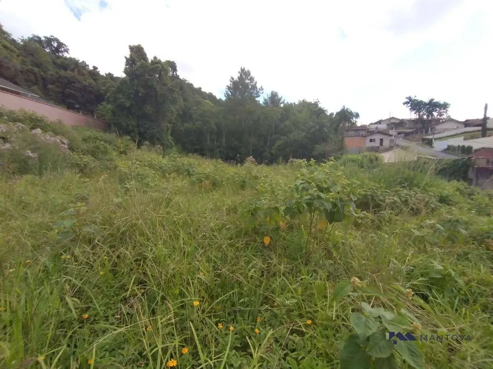 Terreno, 1 hectares - Foto 4