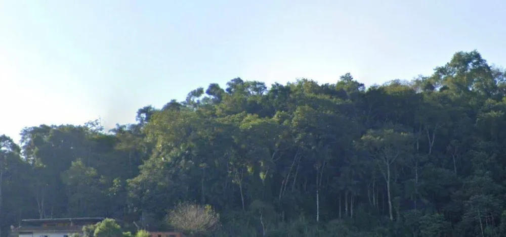 Terreno, 4 hectares - Foto 7