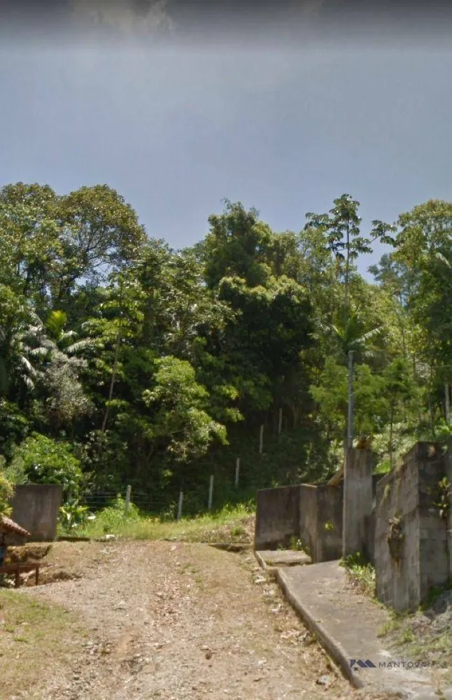 Terreno, 4 hectares - Foto 3