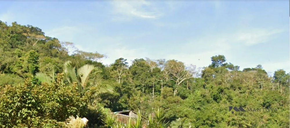 Terreno, 4 hectares - Foto 6