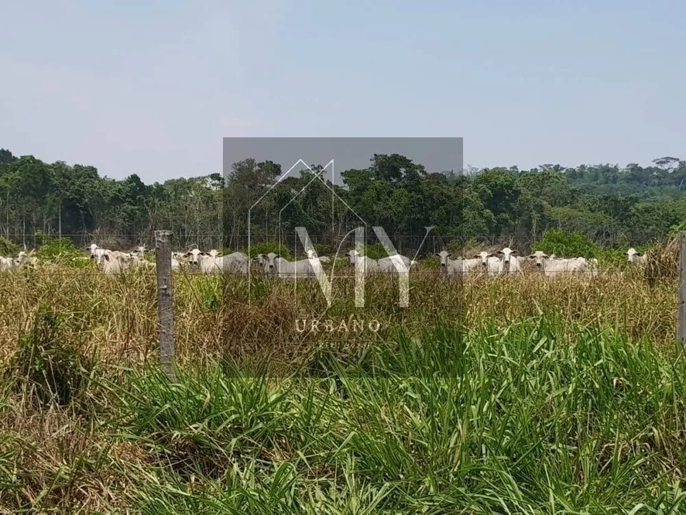 Fazenda, 1014 m² - Foto 4