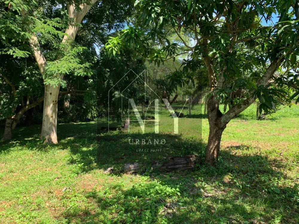 Sítio, 4 quartos, 48 m² - Foto 6