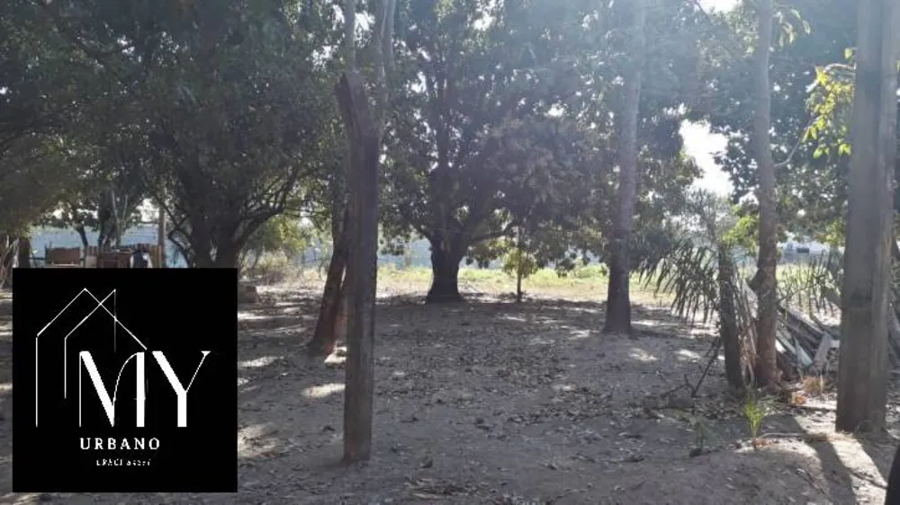 Terreno, 8000 m² - Foto 5