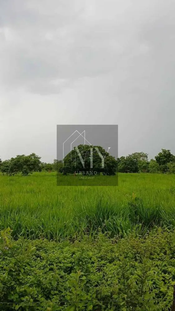 Terreno - Foto 1