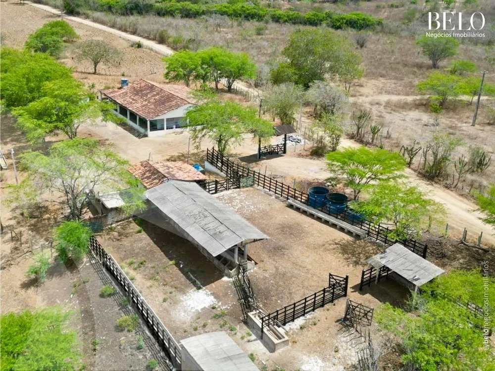 Terreno - Foto 7