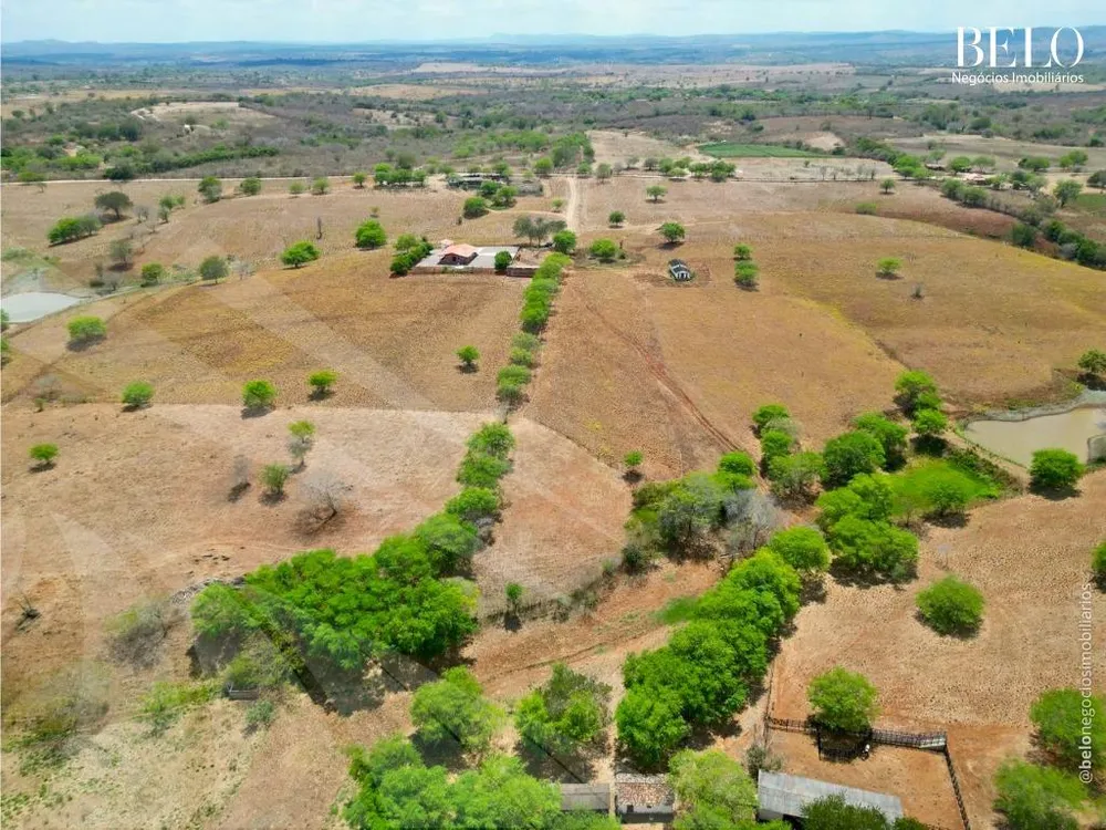 Terreno - Foto 2