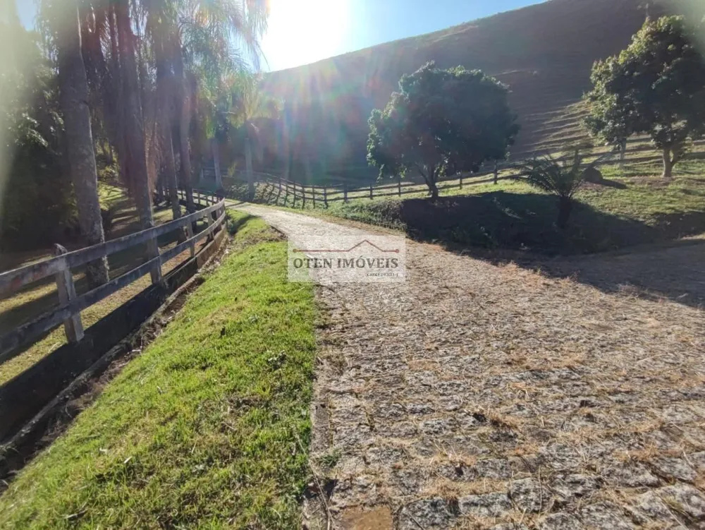 Fazenda, 80 hectares - Foto 12