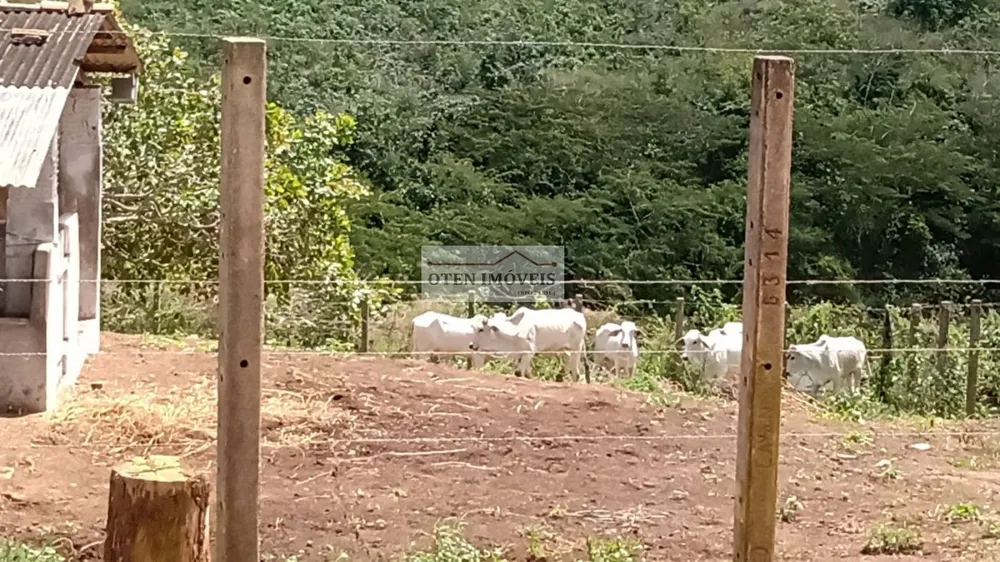 Terreno, 2 hectares - Foto 11
