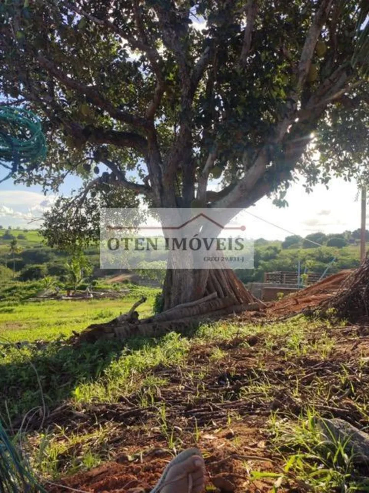 Terreno, 2 hectares - Foto 4