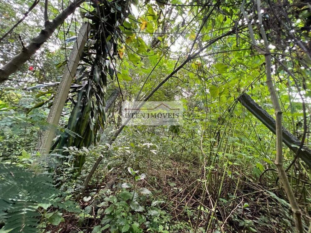 Terreno, 2330 m² - Foto 4