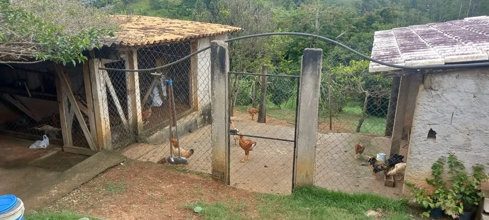Chácara, 4 quartos - Foto 8