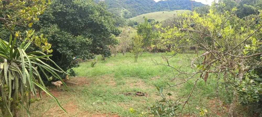 Chácara, 4 quartos - Foto 11