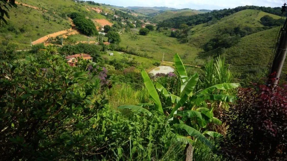 Chácara, 5 quartos, 3 hectares - Foto 2