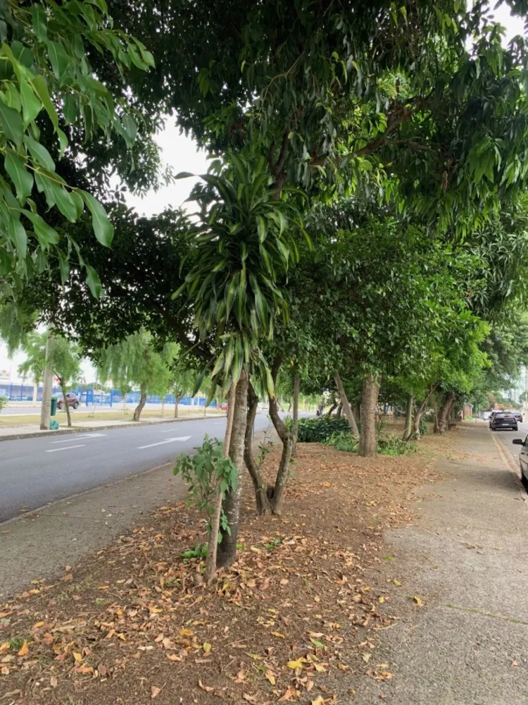 Terreno, 300 m² - Foto 1