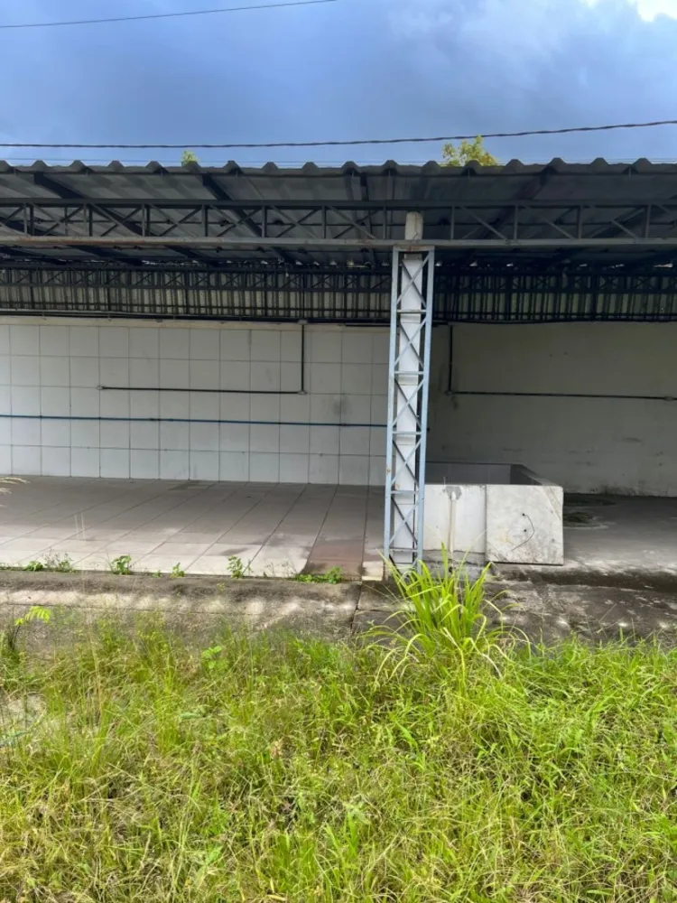 Terreno, 1299 m² - Foto 6
