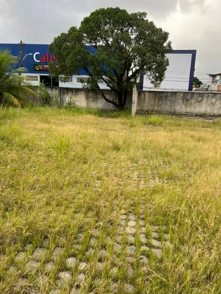 Terreno, 1299 m² - Foto 12